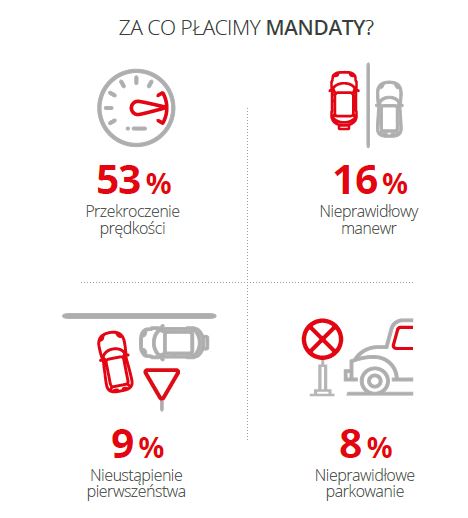 Mandaty - za co je płacimy?