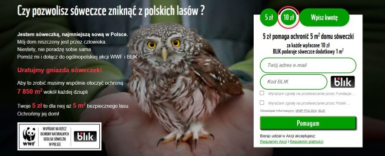 BLIK-płatności-z-banera-reklamowego