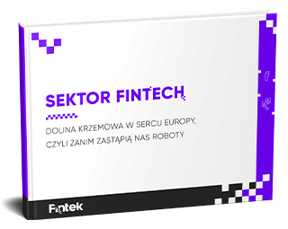 https://fintek.pl/wp-content/uploads/2019/05/Ebook-Sektor-Fintech.pdf