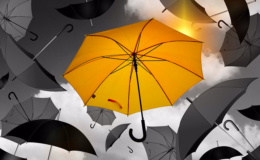 Parasol